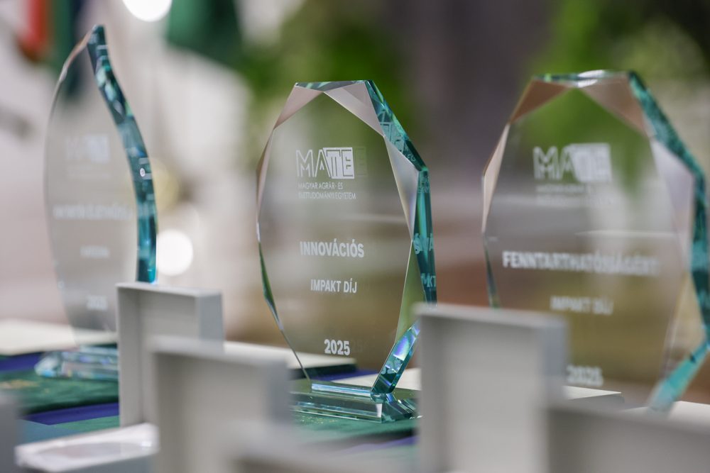 A MATE legkiemelkedőbb oktatóit és munkatársait méltatták