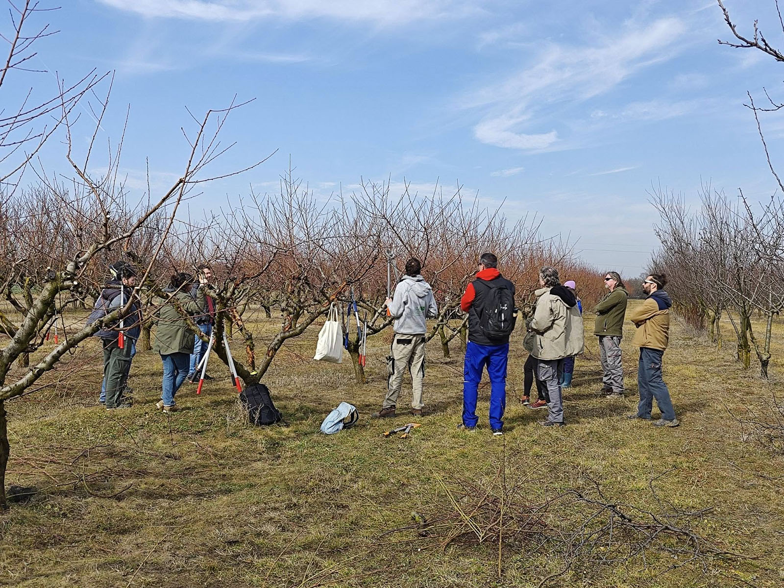 Gyümölcstermesztési képzések a MATE-n