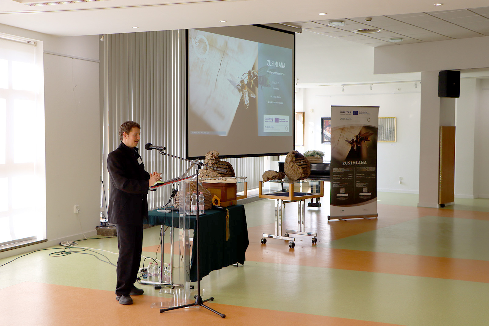 Nemzetközi összefogás az ázsiai lódarázs ellen: elindult az  osztrák-magyar Interreg projekt