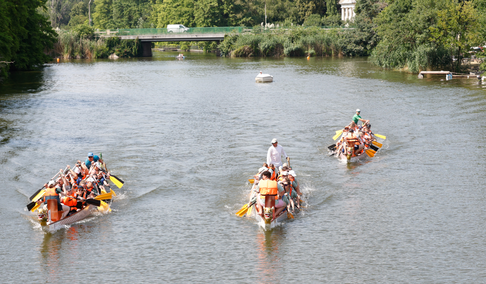 Regatta