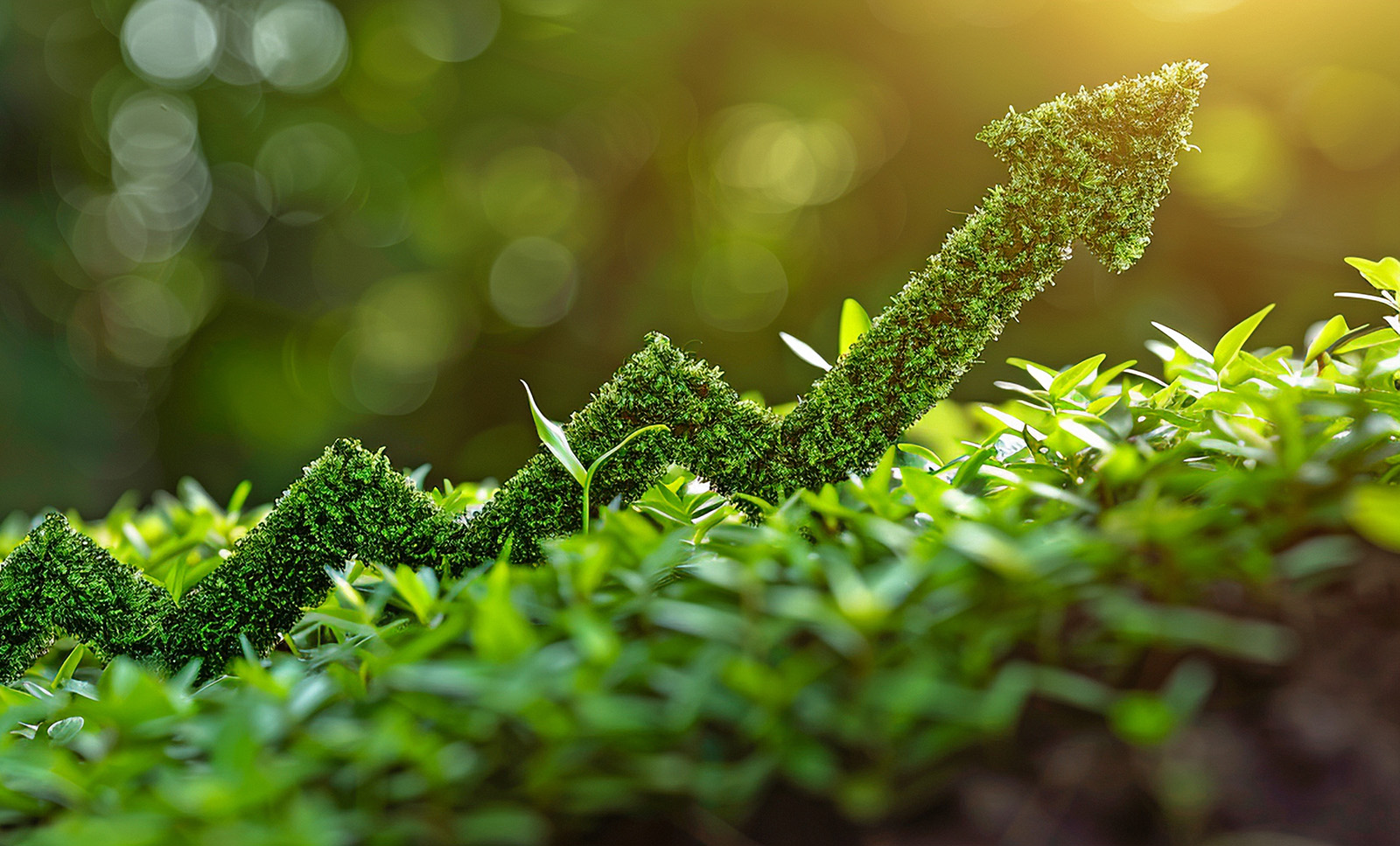 A MATE ismét előrelépett a QS fenntarthatósági világranglistán