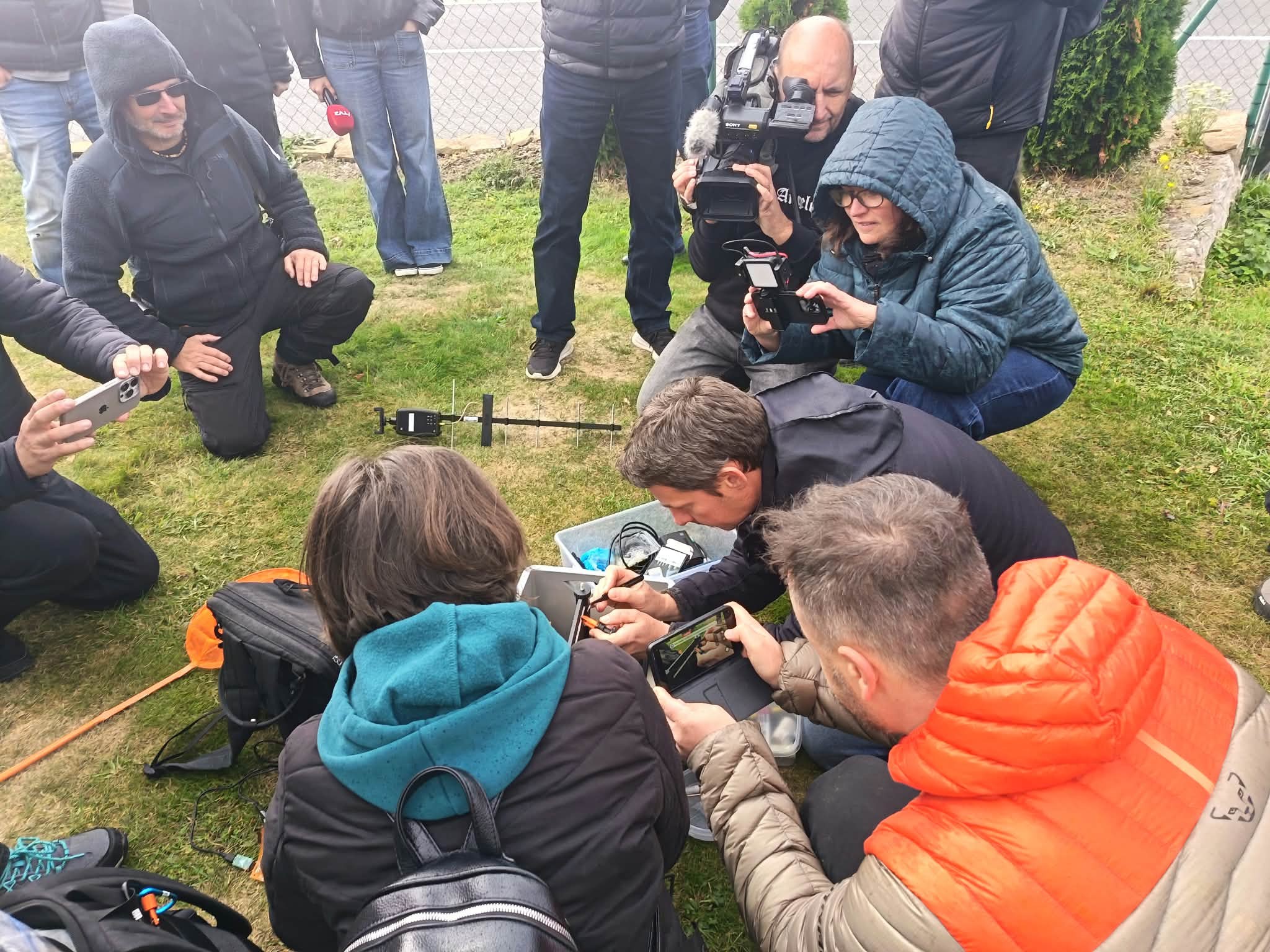 Egyedülálló védekezési rendszer épült ki az ázsiai lódarázs ellen a MATE-n